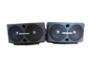CELESTION SR1